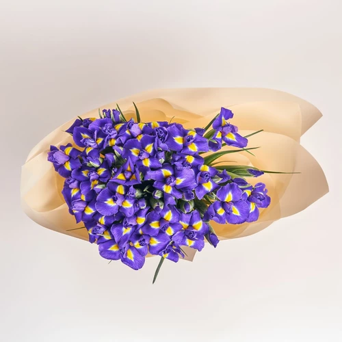 Product image Bouquet 51 Iris, packaging: Peach, vendor code: 2290