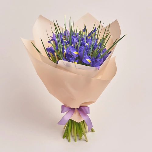 Product image Bouquet of 25 Iris, packaging: Peach, vendor code: 2260