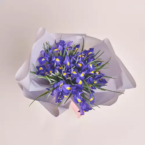 Product image Bouquet of 25 Iris, packaging: Gray, vendor code: 2260