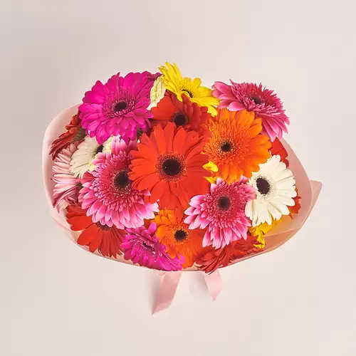 Product image Bouquet of 25 Gerberas mix, packaging: Kafin rose, vendor code: 996