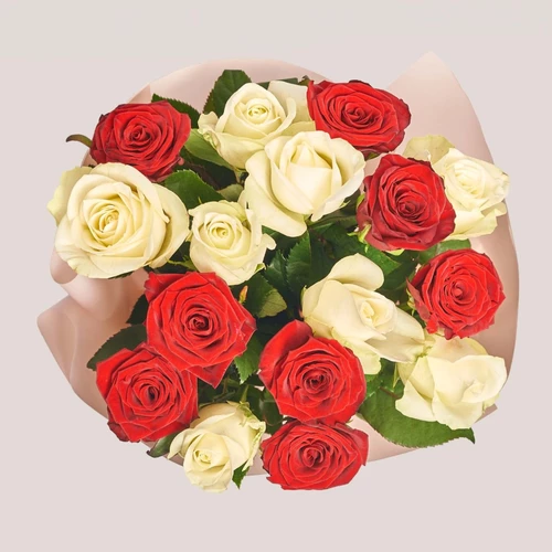 Product image Bouquet 17 Mixed Red and White Roses, packaging: Powder, SKU: 2375