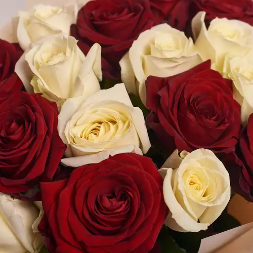 Product image Bouquet 17 Mixed Red and White Roses , packaging: Peach, vendor code: 2375