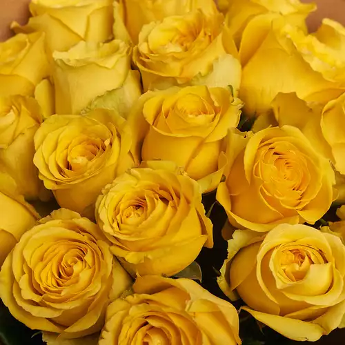 Product image Bouquet 21 Yellow rose, packaging: Сraft, vendor code: 2080