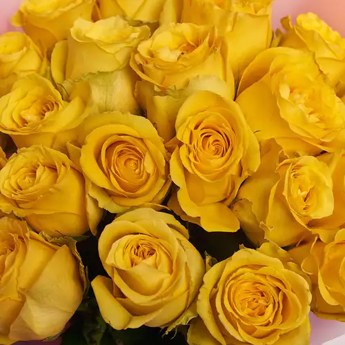 Product image Bouquet 21 Yellow rose, packaging: Pink, SKU: 2080