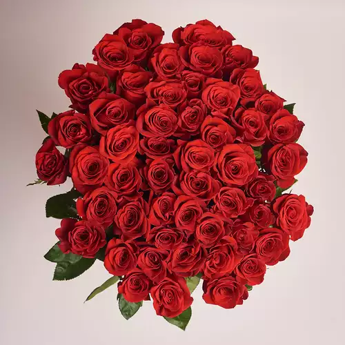 Product image Bouquet 51 Red Rose Freedom, vendor code: 2380