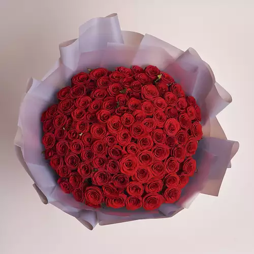 Product image Bouquet of 101 Red Rose Prestige , packaging: Gray, vendor code: 2431