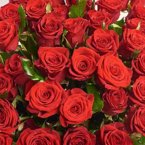 Product image Bouquet 51 Red Rose Prestige, packaging: Green, vendor code: 2429