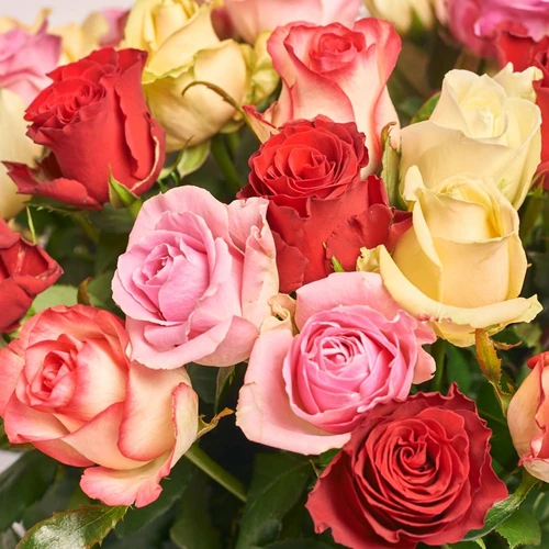 Product image Bouquet 51 Rose Mix, packaging: Kafin rust, SKU: 2384