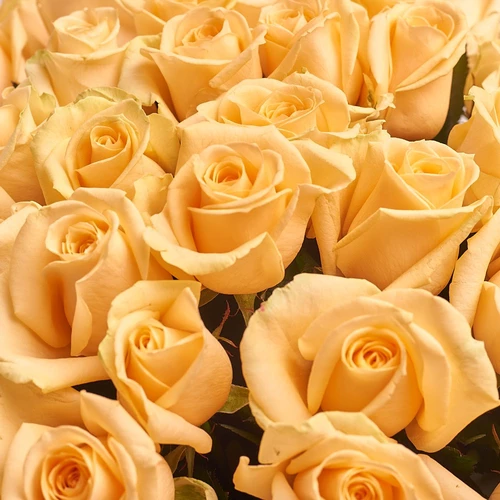 Product image Bouquet 51 Peach rose, packaging: White, vendor code: 2294