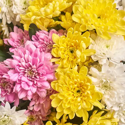 Product image Bouquet of 11 Chrysanthemums Mix, packaging: Pink, vendor code: 2108