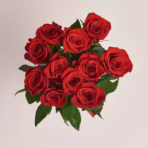 Product image Bouquet of 11 Freedom Red Roses 100 cm, vendor code: 2395