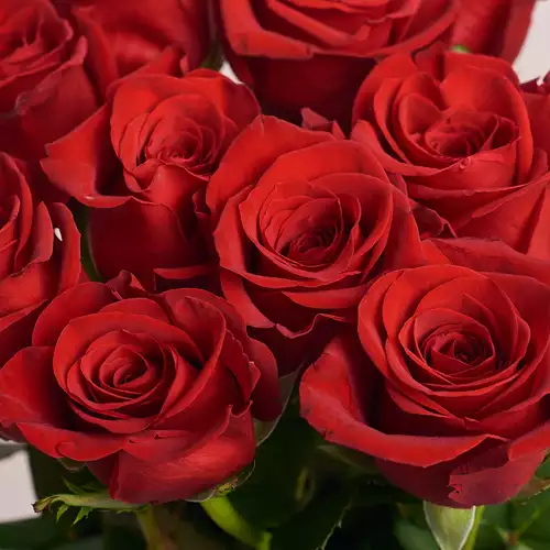Product image Bouquet of 11 Freedom Red Roses 100 cm, vendor code: 2395