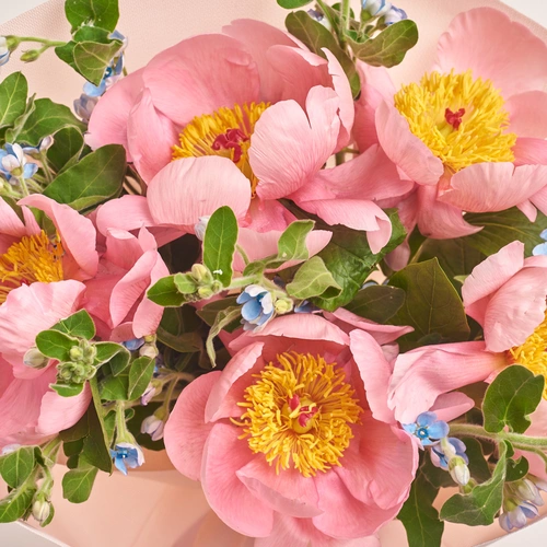 Product image Bouquet 638, packaging: Kafin rose, vendor code: 2313