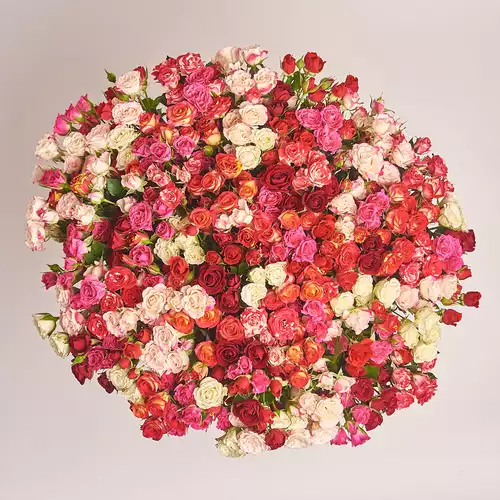 Product image Bouquet of 101 Roses spray Мix, packaging: Without packaging, vendor code: 2039