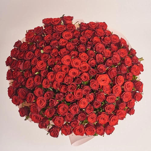 Product image Bouquet 151 Red Rose Prestige, packaging: Kafin rose, vendor code: 2432