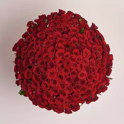 Product image Bouquet 201 Red Rose Prestige , vendor code: 2433