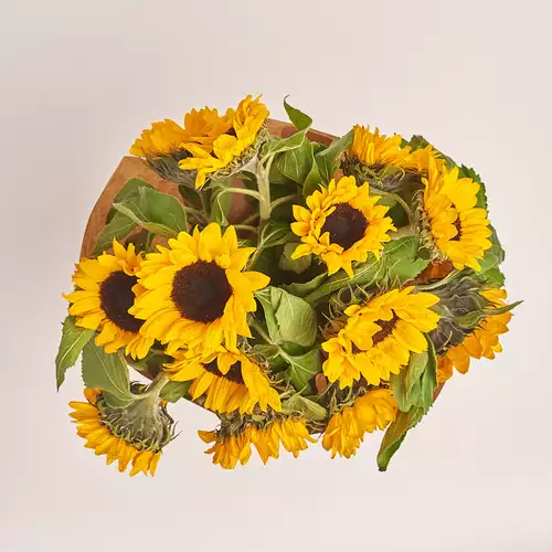 Product image Bouquet of 15 Sunflowers, packaging: Сraft, vendor code: 2087