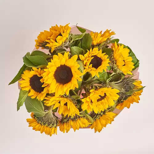 Product image Bouquet of 15 Sunflowers, packaging: Pink, vendor code: 2087
