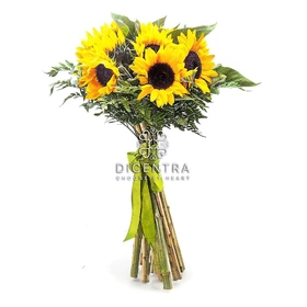 Bouquet of 15 Sunflowers 