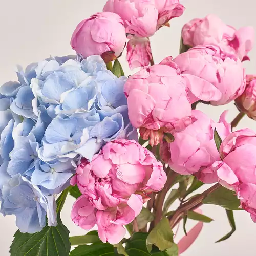 Product image Bouquet of 9 Peonies and Hydrangea, packaging: Сraft, vendor code: 2462