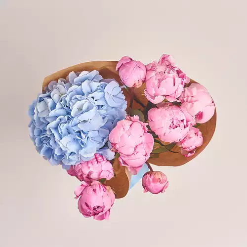 Product image Bouquet of 9 Peonies and Hydrangea, packaging: Сraft, vendor code: 2462