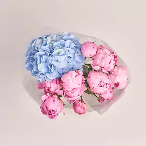 Product image Bouquet of 9 Peonies and Hydrangea, packaging: Transparent, vendor code: 2462
