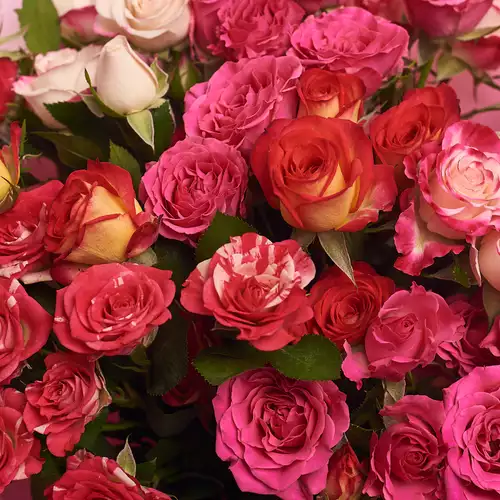 Product image Bouquet of 7 Roses spray mix, packaging: Pink, vendor code: 2314