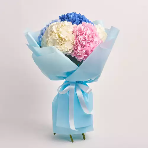 Product image Bouquet of 5 Hydrangeas Mix, packaging: Blue, vendor code: 2469