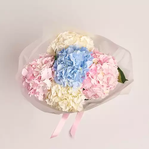 Product image Bouquet of 5 Hydrangeas Mix, packaging: Transparent, vendor code: 2469