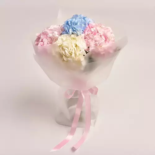 Product image Bouquet of 5 Hydrangeas Mix, packaging: Transparent, vendor code: 2469