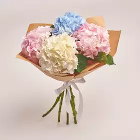 Bouquet of 5 Hydrangeas Mix