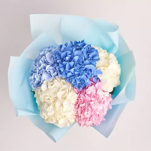 Product image Bouquet of 5 Hydrangeas Mix, packaging: Blue, vendor code: 2469