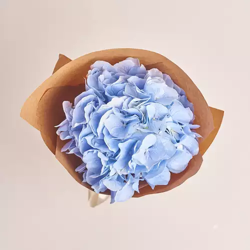 Product image Bouquet 1 Blue Hydrangea, packaging: Сraft, vendor code: 2470