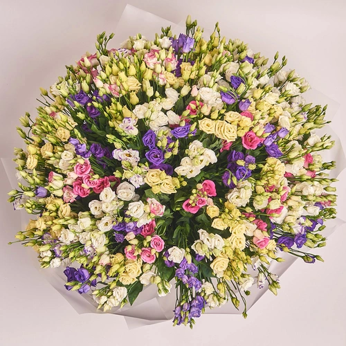 Product image Bouquet 101 Eustoma Mix , packaging: Transparent, vendor code: 2094