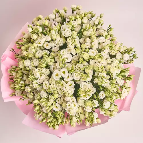 Product image Bouquet 101 White Eustomas, packaging: Pink, vendor code: 1958