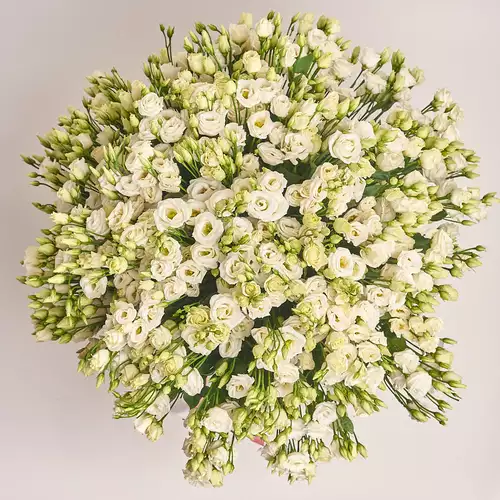 Product image Bouquet 101 White Eustomas, packaging: Without packaging, vendor code: 1958