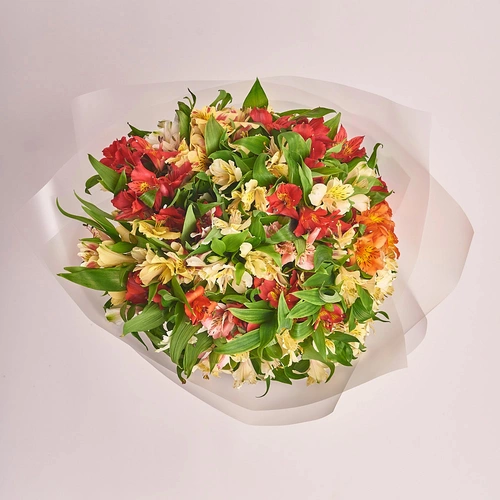 Product image Bouquet of 25 Alstroemeria mix , packaging: Transparent, vendor code: 2109