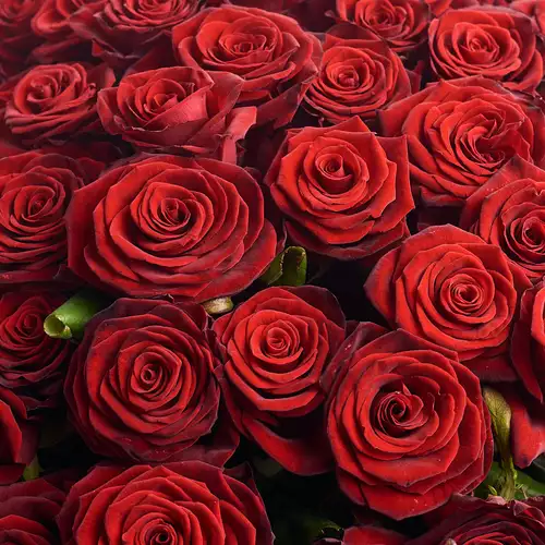 Product image Bouquet 101 Red Rose Grand Prix, packaging: Without packaging, vendor code: 2055