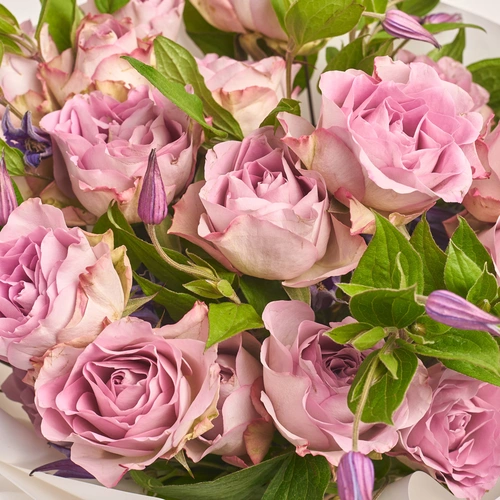 Product image Bouquet 650, packaging: White, vendor code: 2398