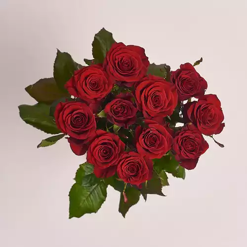Product image Bouquet of 11 Red Roses Prestige , packaging: Without packaging, vendor code: 2426