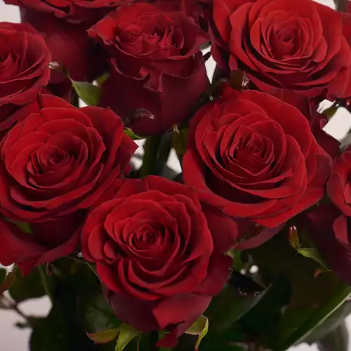 Product image Bouquet of 11 Red Roses Prestige , packaging: Without packaging, vendor code: 2426