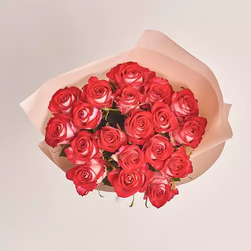Product image Bouquet of 19 Roses All Star, packaging: Powder, vendor code: 2394