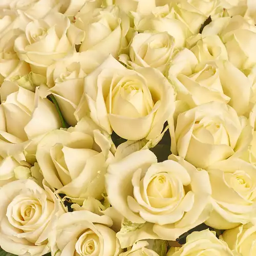 Product image Bouquet 51 White Rose, packaging: Peach, vendor code: 2284