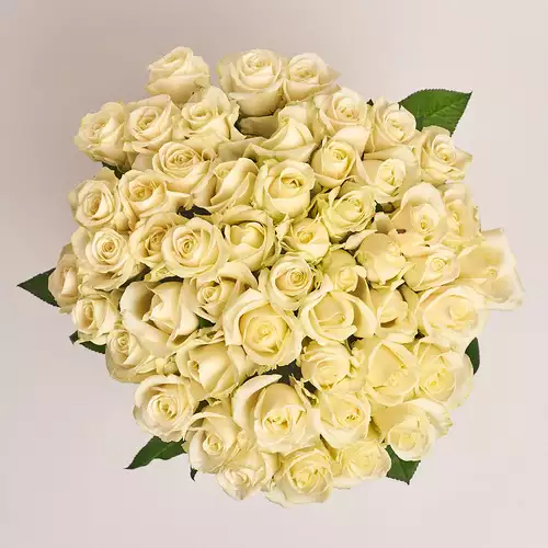 Product image Bouquet 51 White Rose, packaging: Without packaging, vendor code: 2284