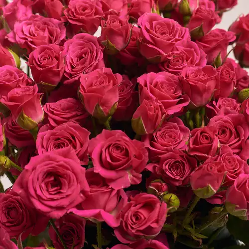 Product image Bouquet 21 Pink rose spray , packaging: Gray, vendor code: 2060