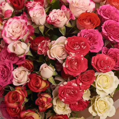 Product image Bouquet of 11 Roses Spray Mix , packaging: Peach, vendor code: 2401