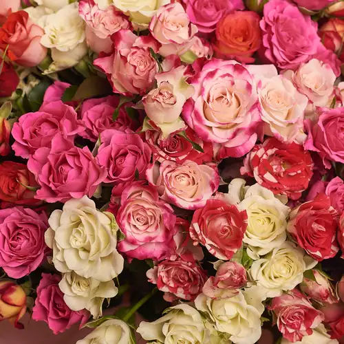 Product image Bouquet of 29 Roses spray mix , packaging: Powder, vendor code: 2402