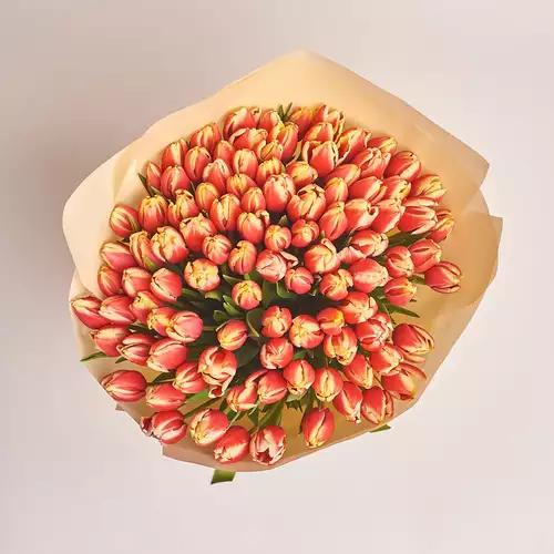 Product image Bouquet 101 Red-yellow tulip, packaging: Peach, vendor code: 2357