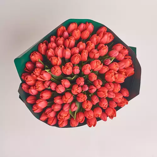 Product image Bouquet 101 Red Tulip, packaging: Green, vendor code: 2363