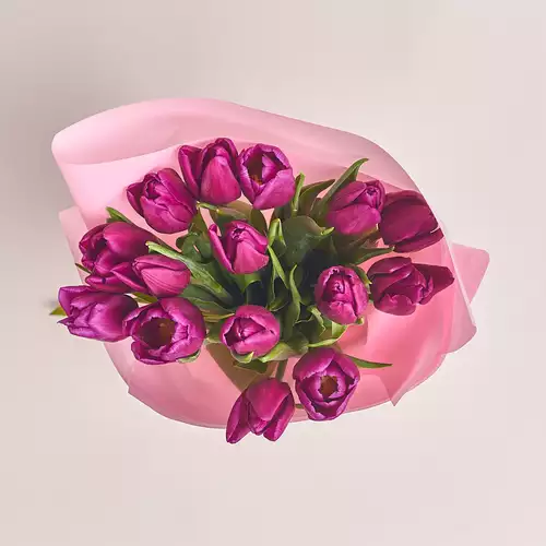 Product image Bouquet of 15 Purple Tulips, packaging: Pink, vendor code: 2256